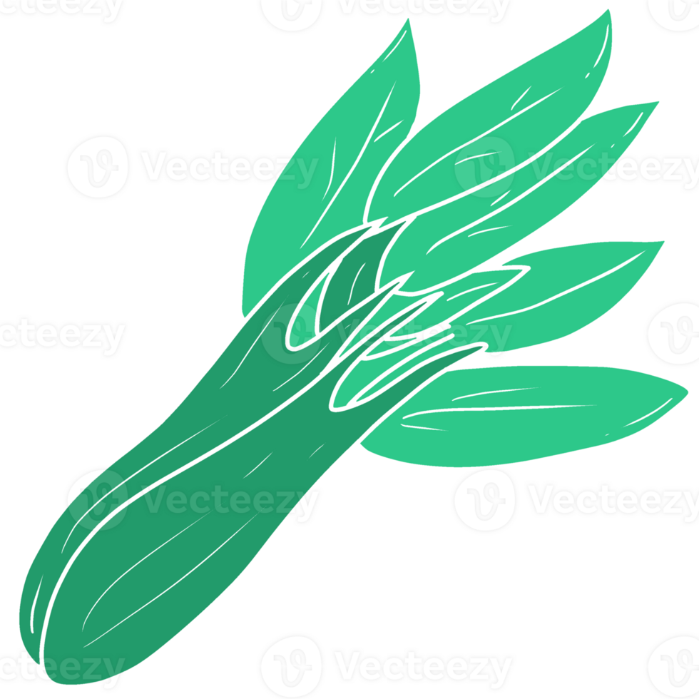 illustration of Kale png