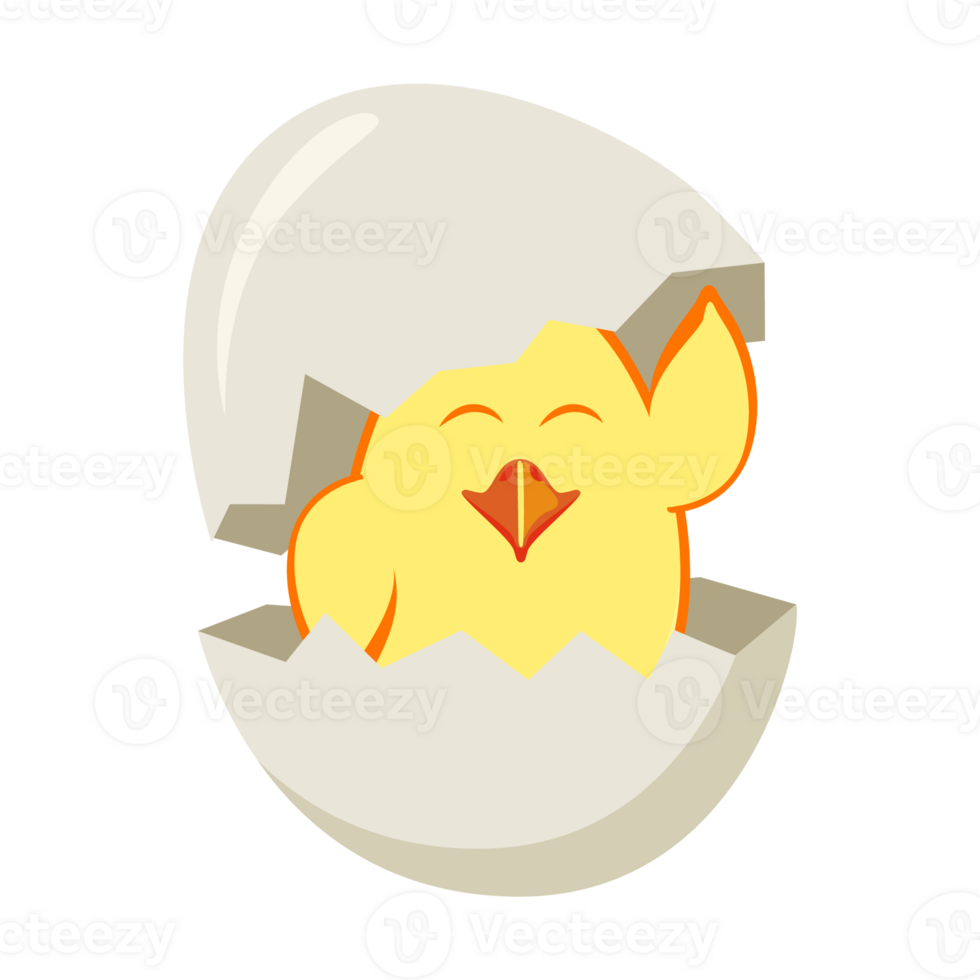 A cute little cartoon chick hatched from an egg. png