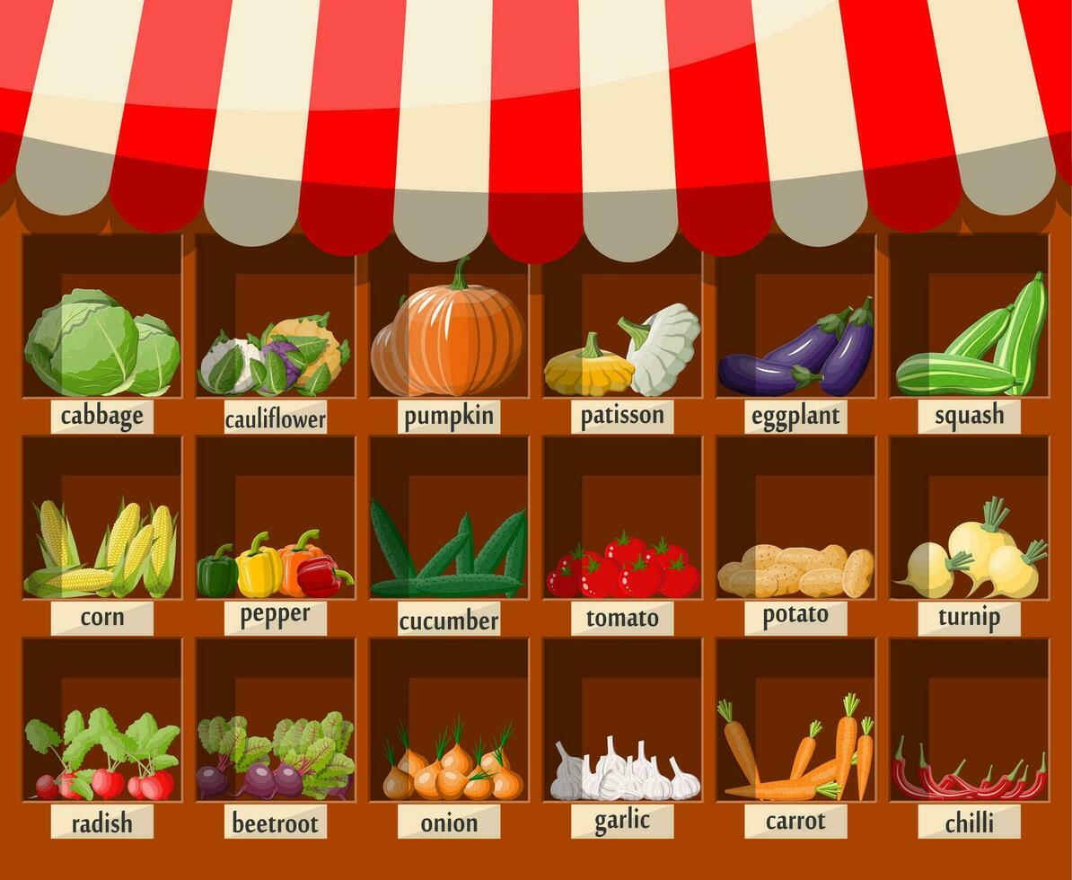 Wooden supermarket shelf with vegetables. Market stall with awning. Fresh organic food products. Cucumber tomato pumpkin garlic onion carrot corn pepper. Vector illustration in flat style