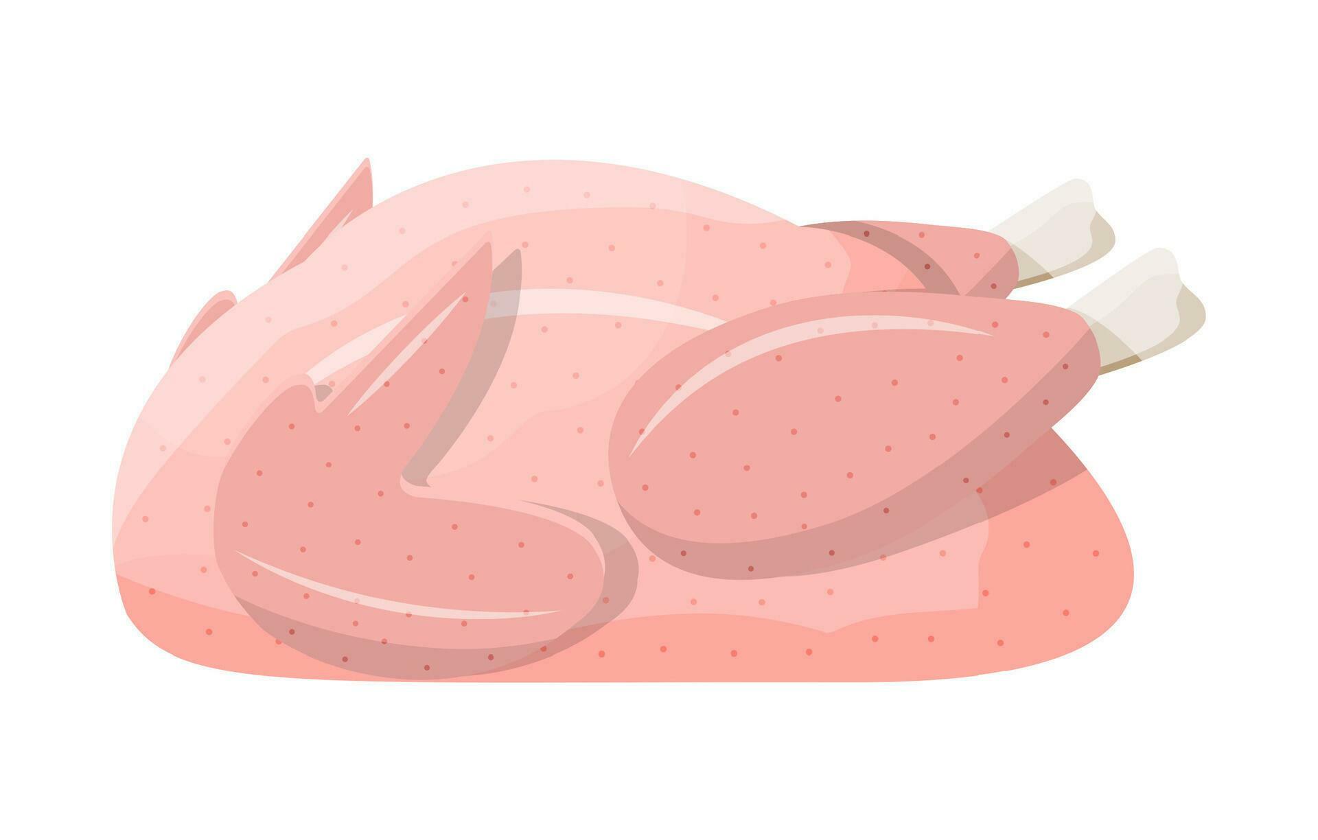 Raw fresh chicken. Whole uncooked chicken 35640070 Vector Art at Vecteezy