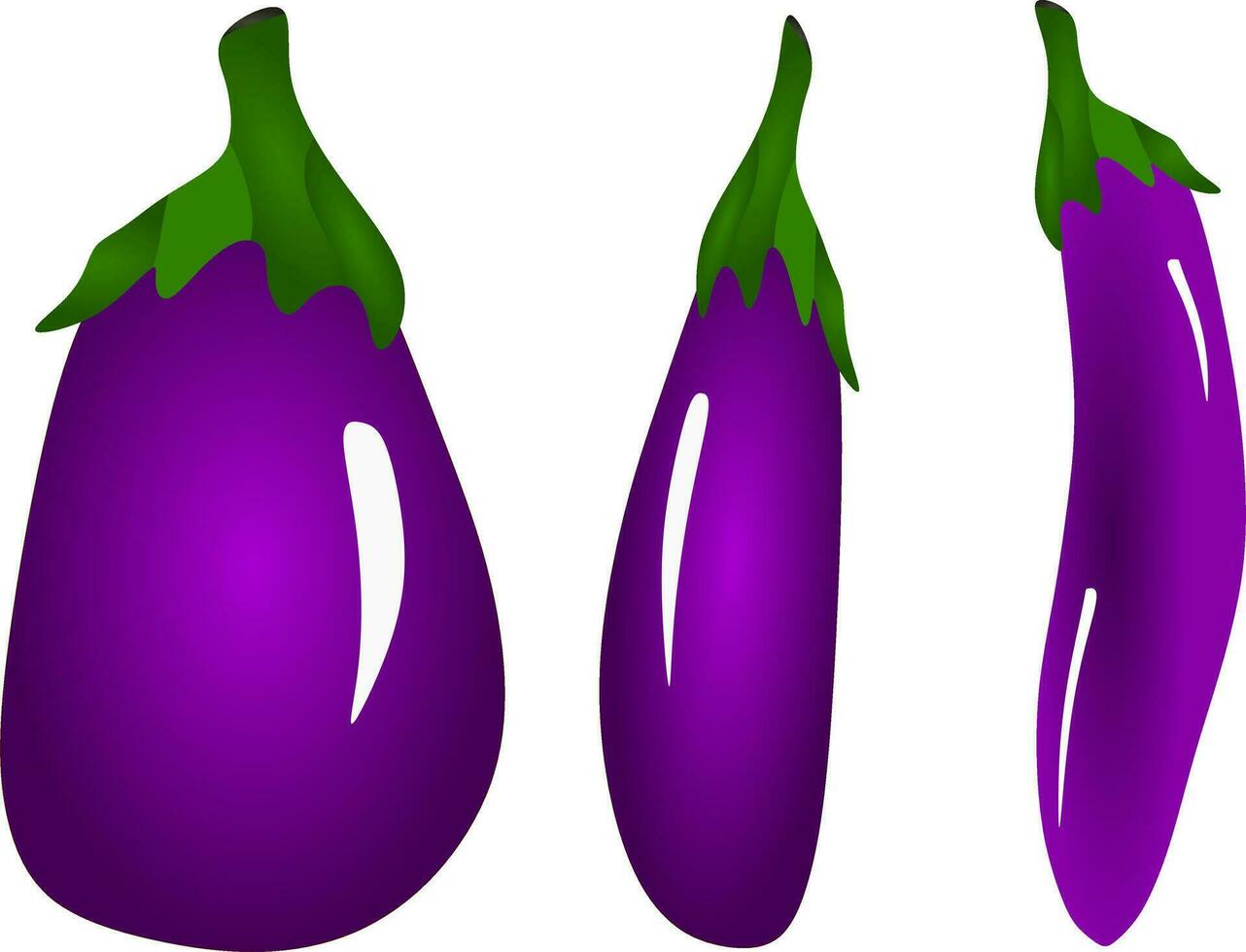 The illustrations and clipart. 3 eggplant on white background vector