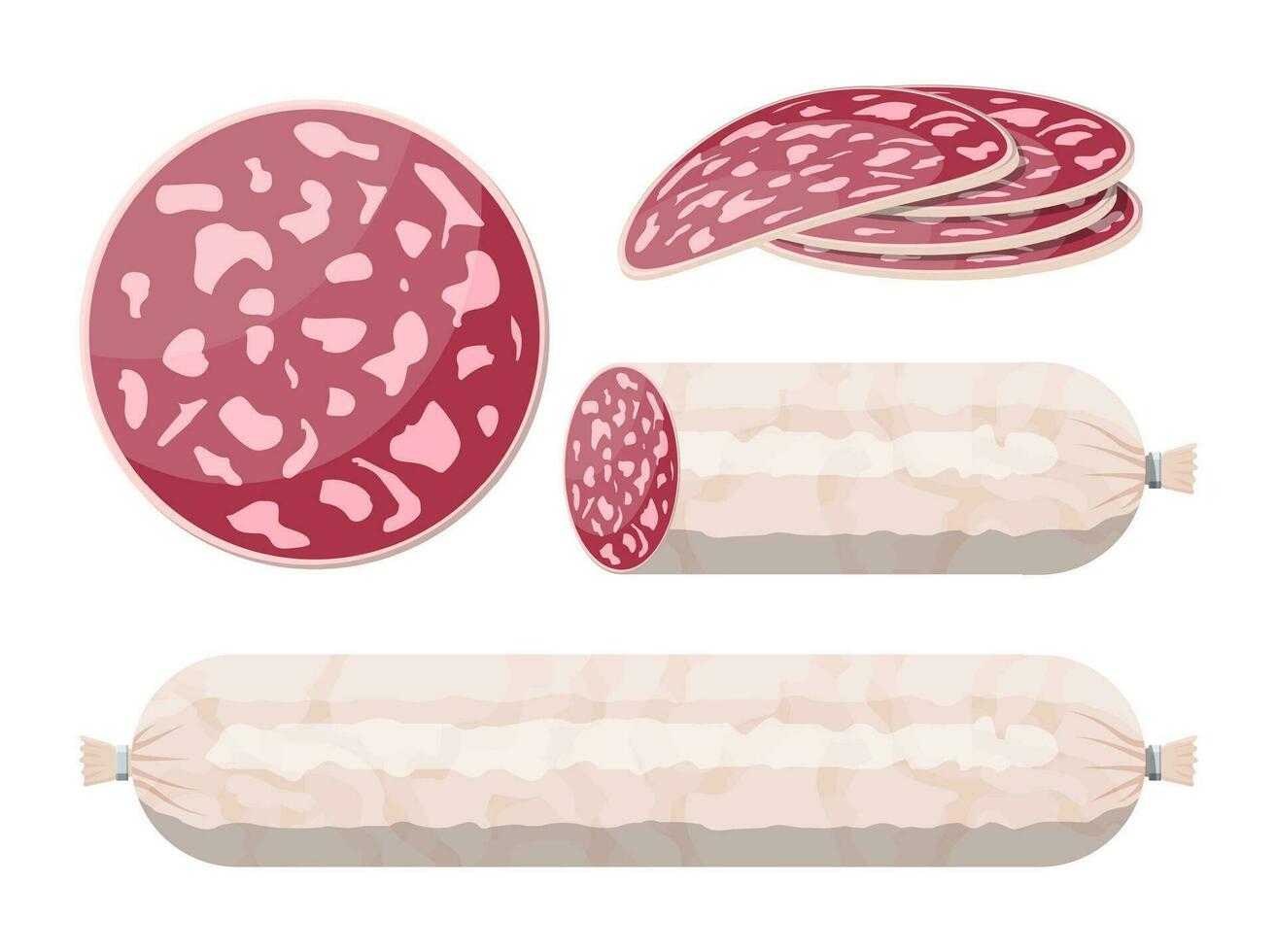 Slices of salami sausage isolated on vector