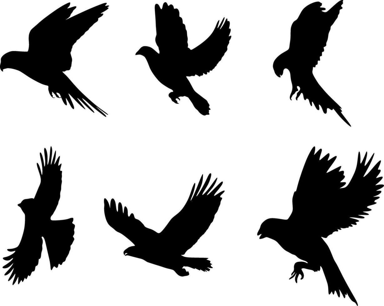 silueta de aves aislado en blanco vector