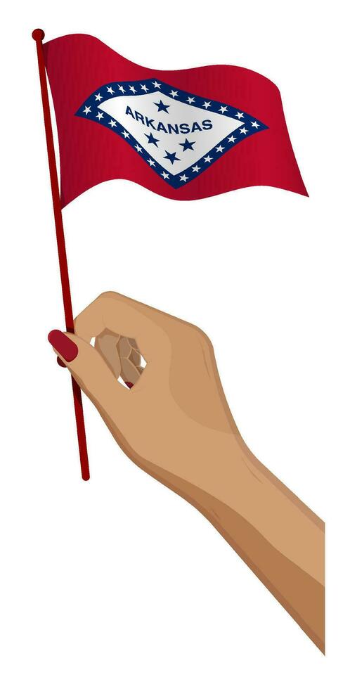 Female hand gently holds small flag of american state of Arkansas. Holiday design element. Cartoon vector on white background