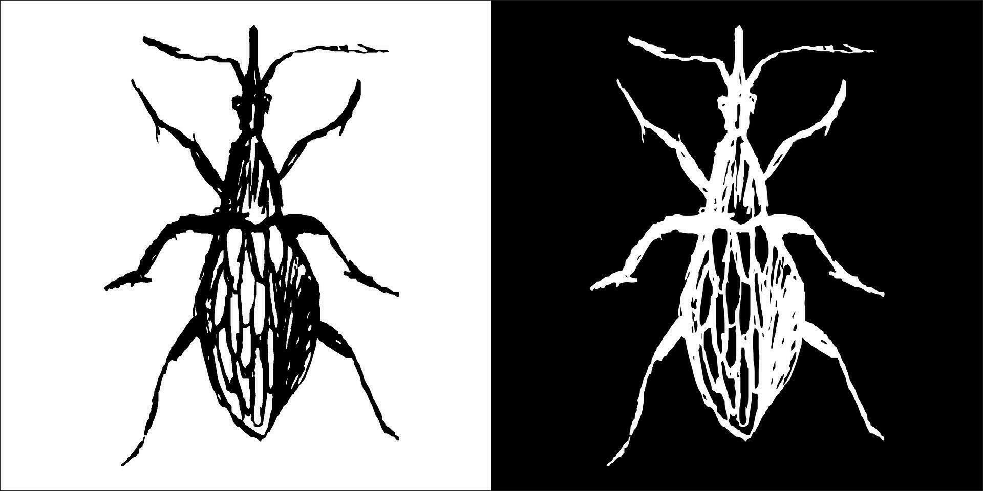 Illustration vector graphics of insect icon