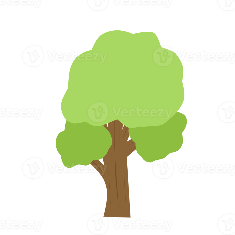 Green Trees For Decorations 35641592 PNG