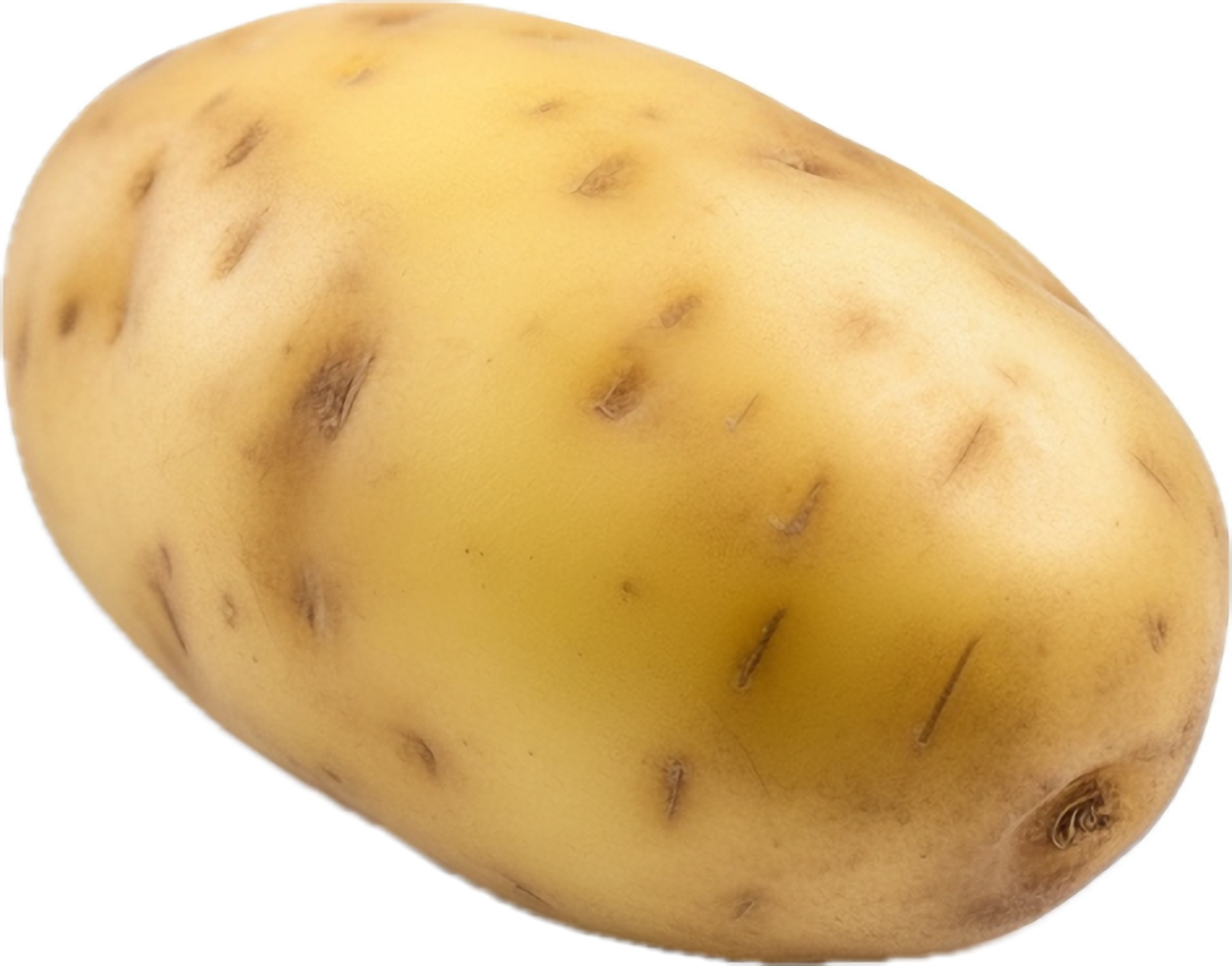 AI generated Potato food png 35642297 PNG