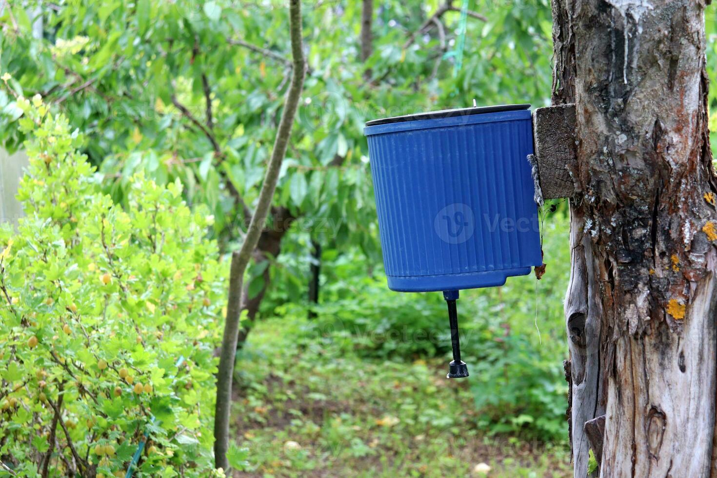 Plastic washbasin for hand hygiene on an old tree in the garden of a rural house for the summer season in Russia against the background of fruit trees and a gooseberry bush. Vertical photo