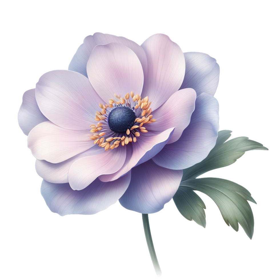 ai généré fleurs transparent Contexte images png