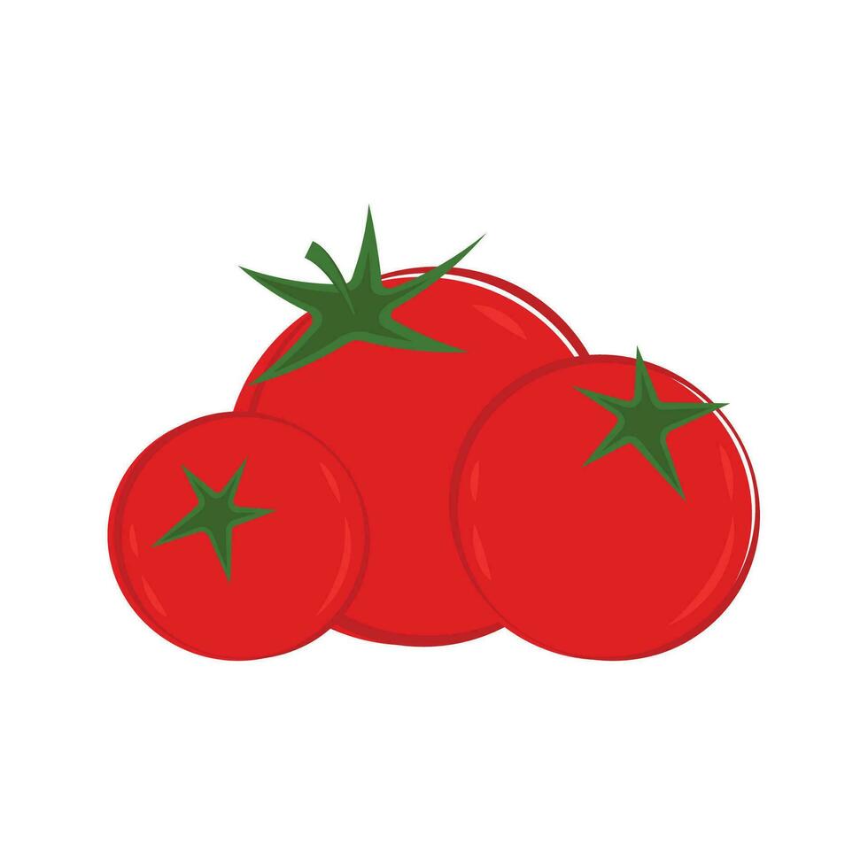 Tomato on white background. Vector illustration of fresh tomato.