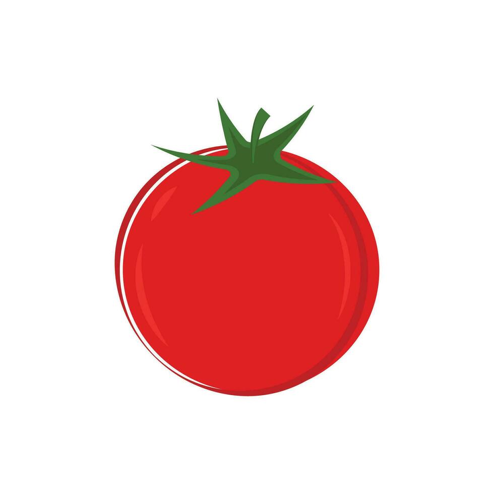 Tomato on white background. Vector illustration of fresh tomato.