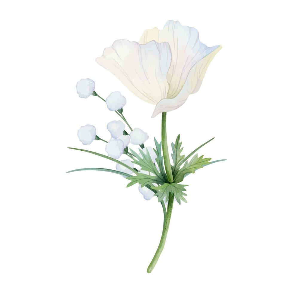 White anemone, field flowers grass spring bouquet vector