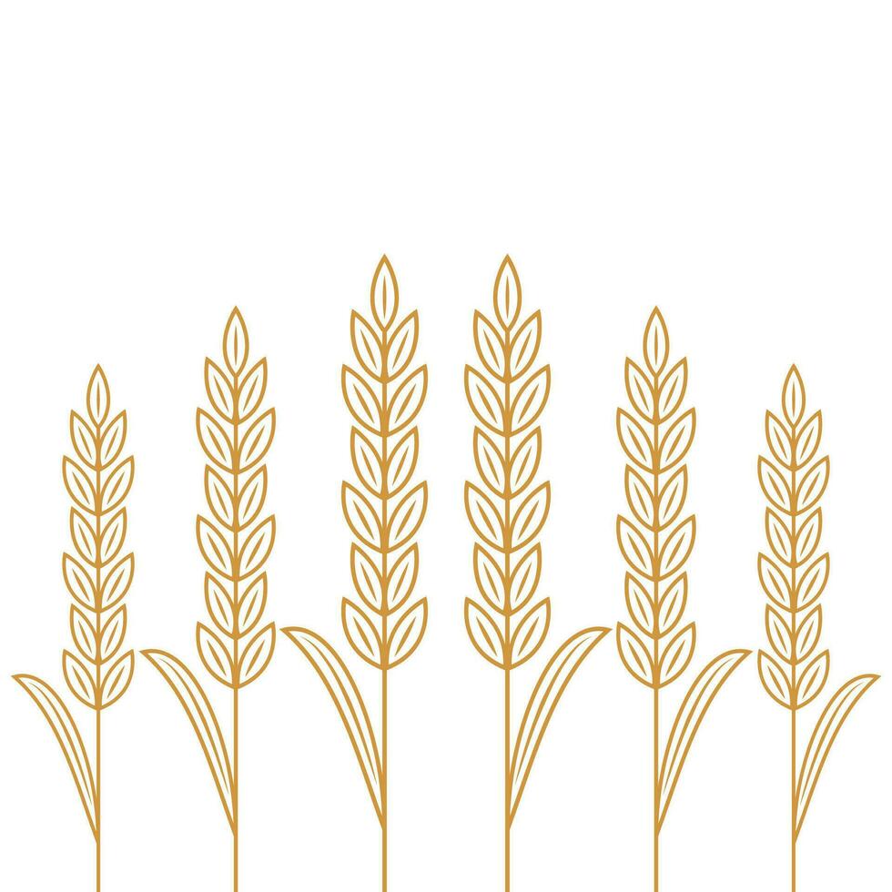 fondo de pantalla de patrón de trigo. símbolo de avena espacio libre para texto. signo de arroz. papel tapiz con patrón de arroz. vector