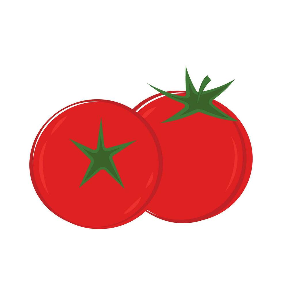 Tomato on white background. Vector illustration of fresh tomato.