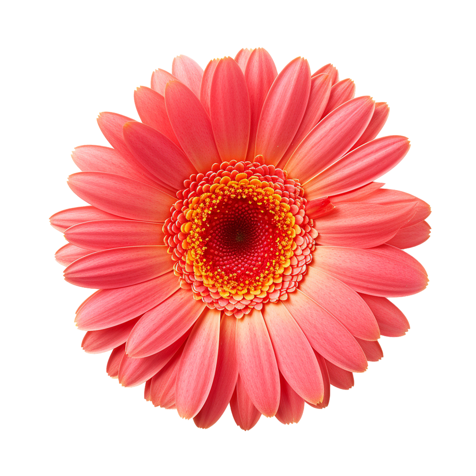 AI generated Flower icon png isolated on transparent background