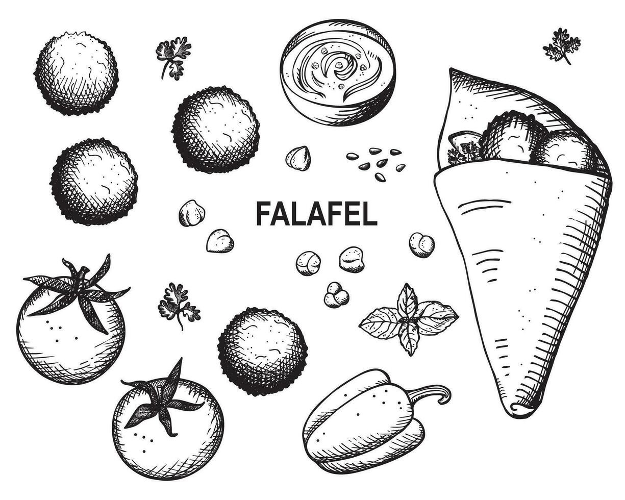 Falafel hand drawn vector engraved illustration. Vegetarian food, oriental cuisine. Design with chickpea balls shawarma with falafel, tomatoes, greenery, hummus, groundnuts. For menu, card, print, web