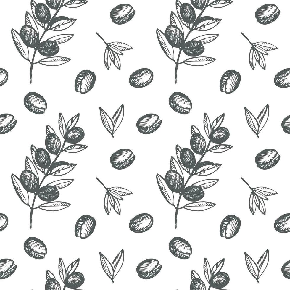 Argan seamless pattern hand drawn vector illustration. Repeating background with argana plant. Cosmetic ingredient, argane oil, harvest, tree Berbers Arabs. For label, print, design, wrapping, card