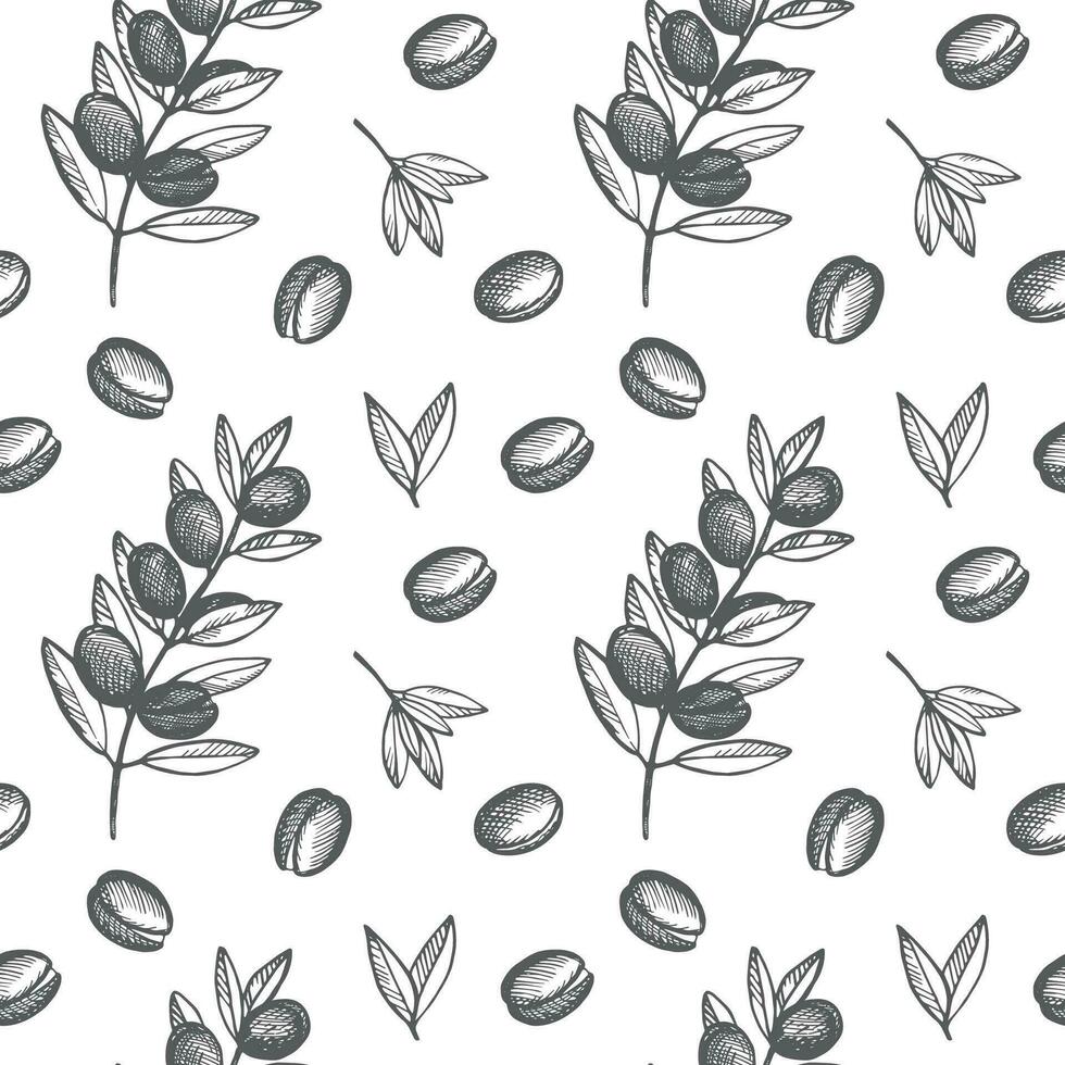 Argan seamless pattern hand drawn vector illustration. Repeating background with argana plant. Cosmetic ingredient, argane oil, harvest, tree Berbers Arabs. For label, print, design, wrapping, card