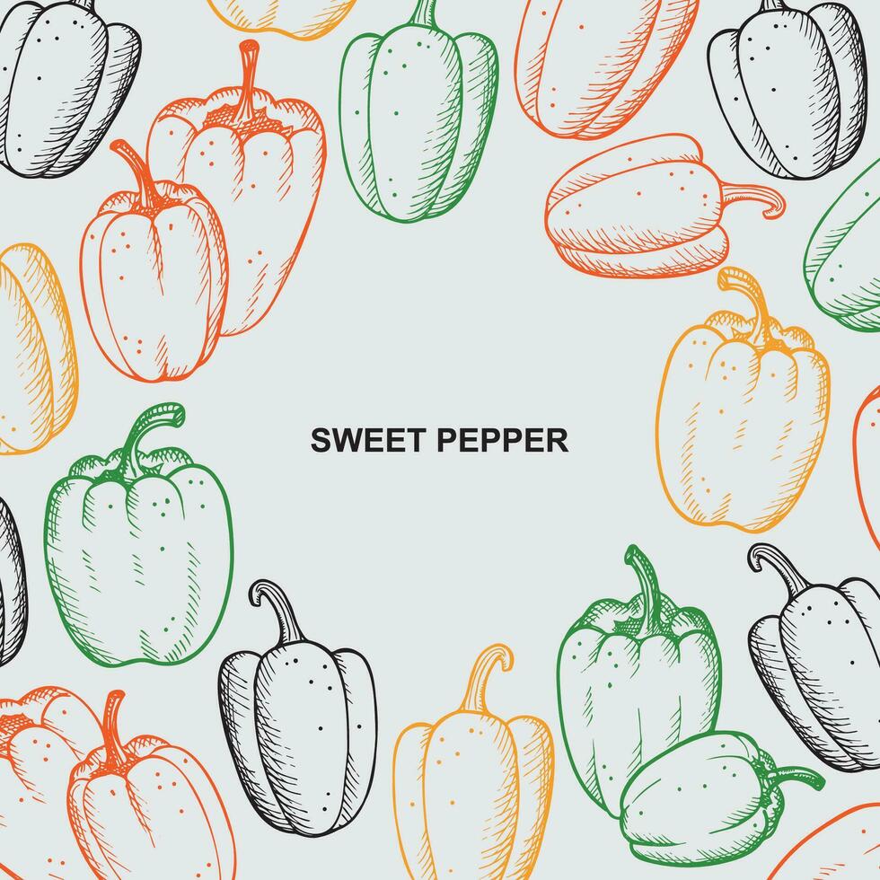 Sweet pepper label template background. Hand drawn vector engraved illustration border with paprika plants.Backdrop with peppers vegetables for print, card, wrapping, template, logo, packing, paper