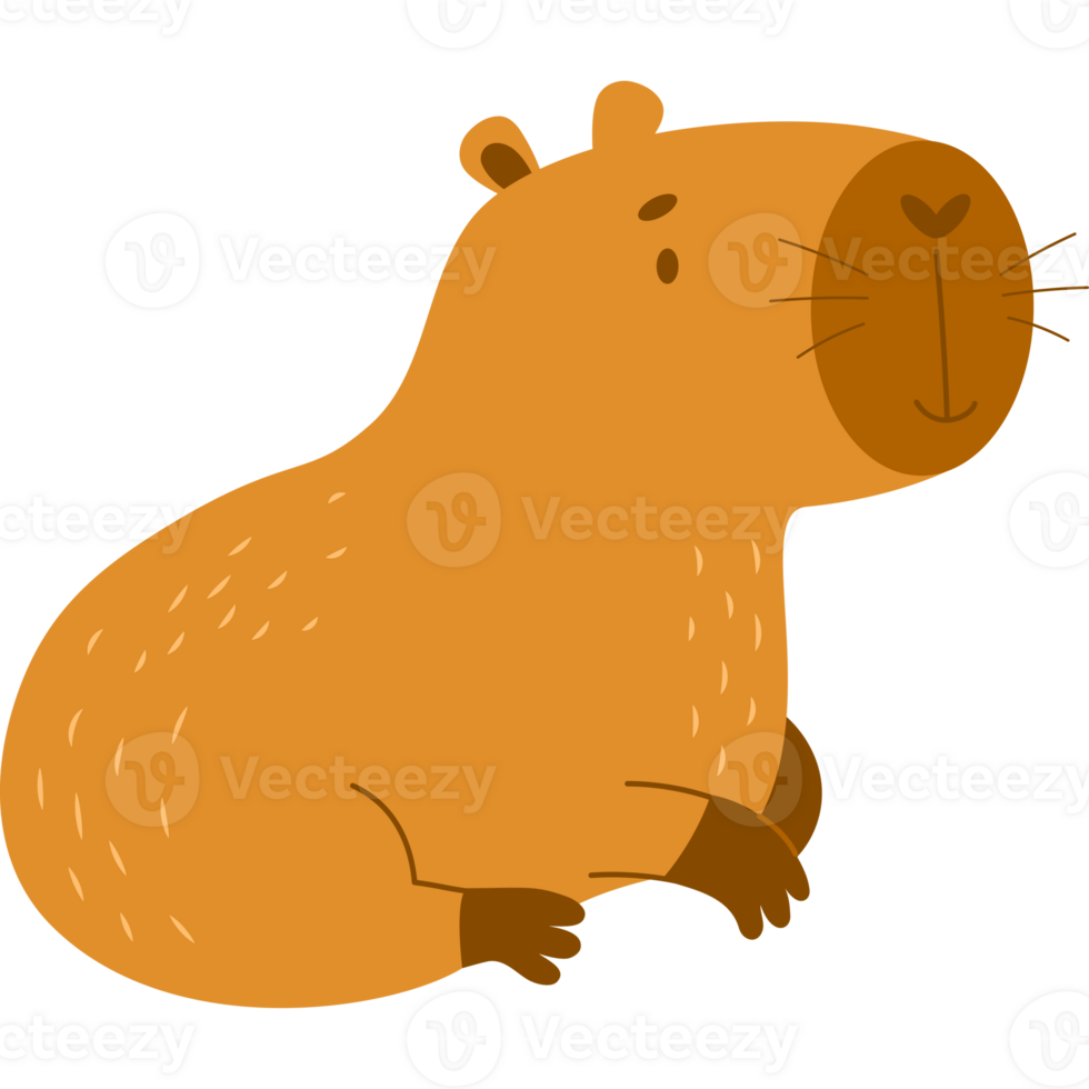 Cute funny  capybara png