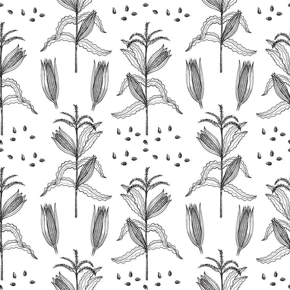 Corn hand drawn seamless pattern. Vector repeating background with corn cobs, kernels, cereal plant branch. Agricultural crop, harvesting, healthy food, maize field, sweet corn flakes, porridge
