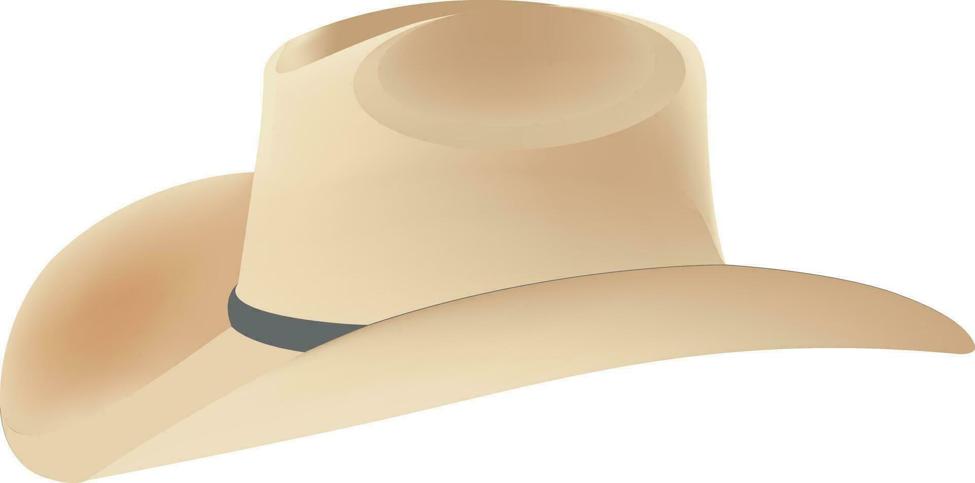 Printamerican straw hat vector