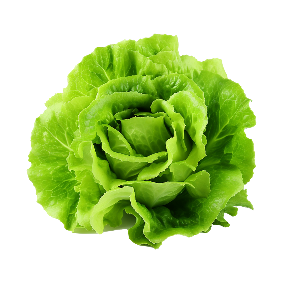 ai généré vert salade isolé sur transparent Contexte Frais salade png génératif ai