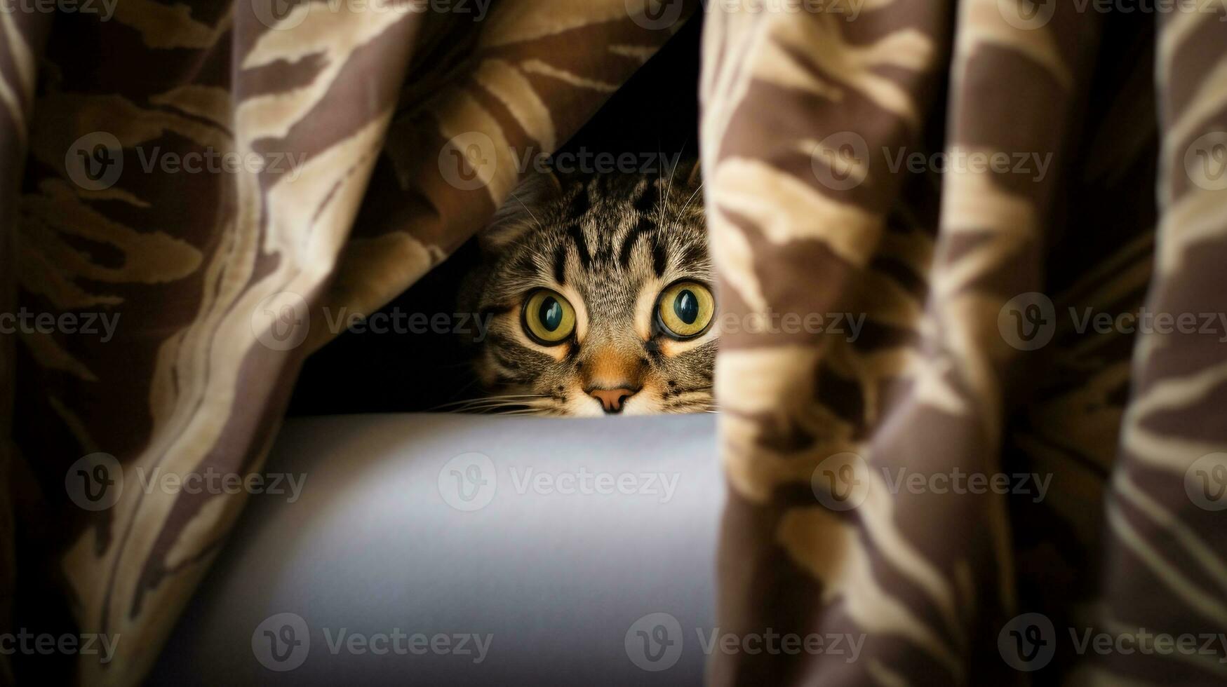 AI generated Photo of a cat peeking out from behind a curtain. Generative AI