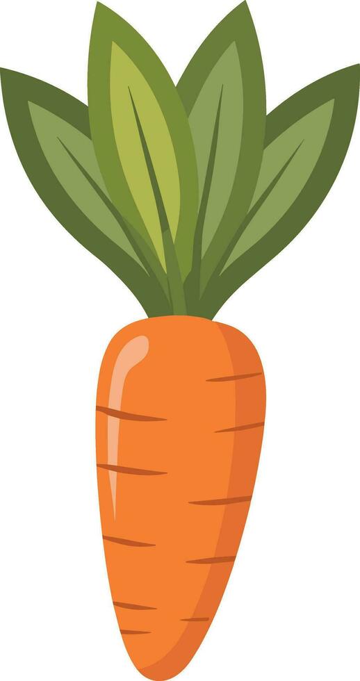 carrot with leaf vector illustration