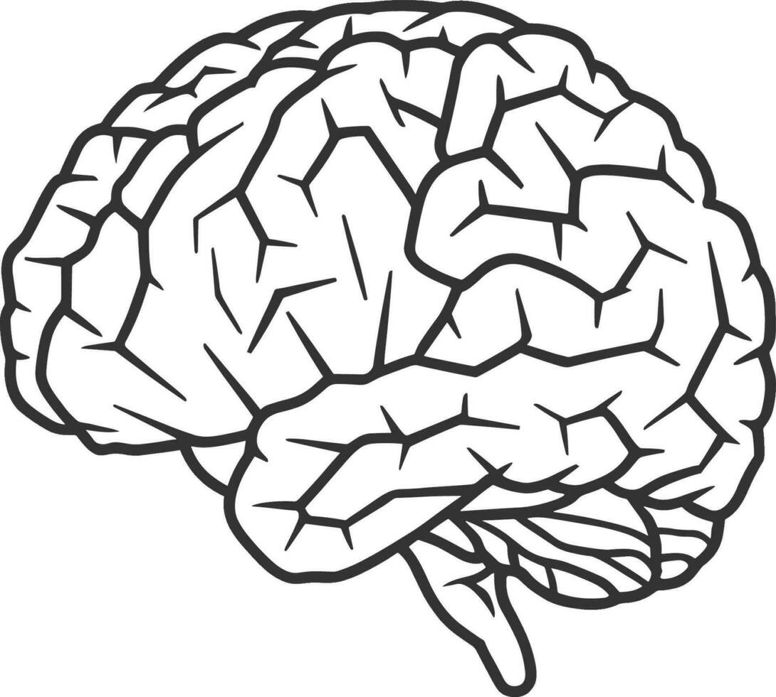 un negro y blanco dibujo de un humano cerebro vector