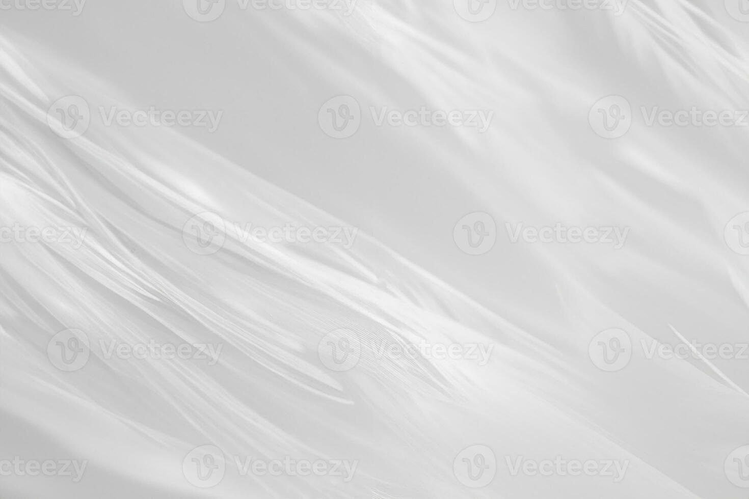 Beautiful line white feather wool pattern texture background photo