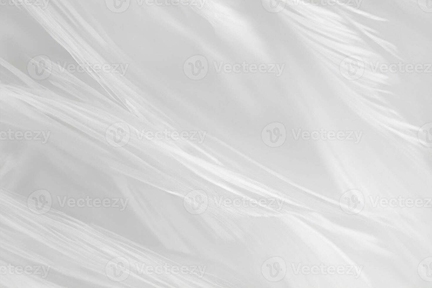 Beautiful line white feather wool pattern texture background photo