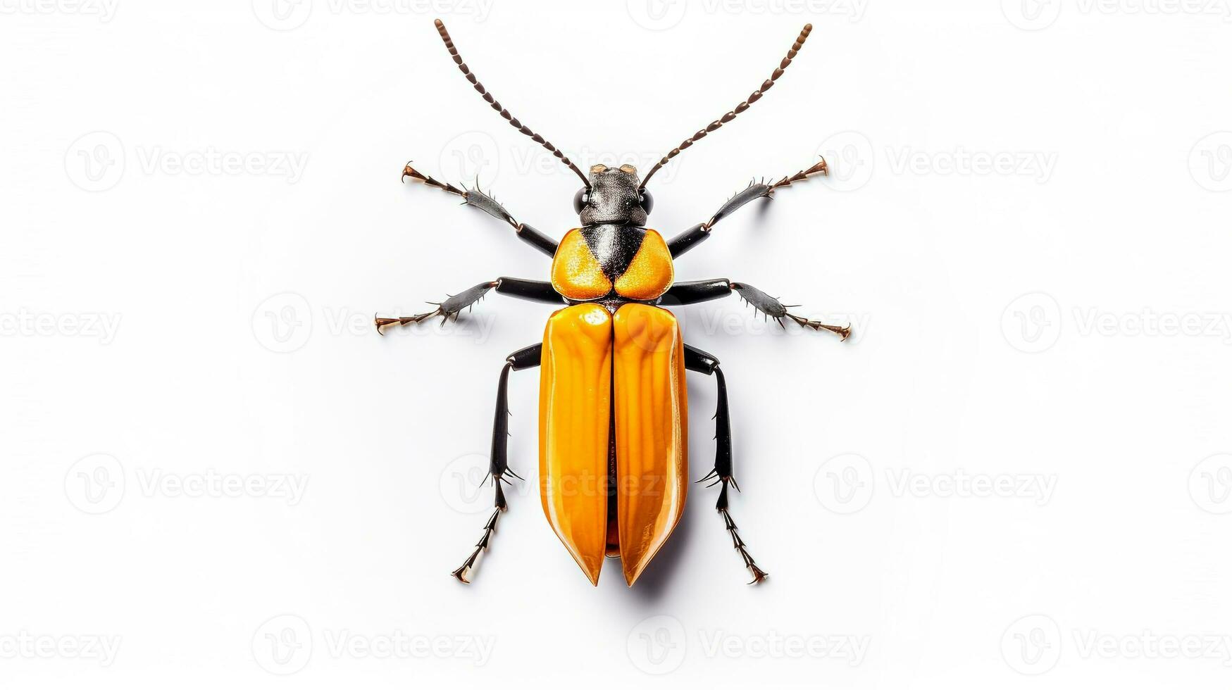 ai generado foto de de cuernos largos escarabajo aislado en blanco antecedentes. generativo ai