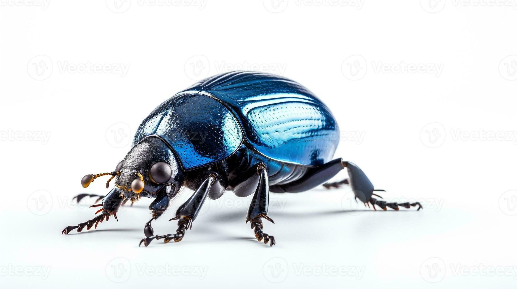 AI generated Photo of Dung Beetle isolated on white background. Generative AI