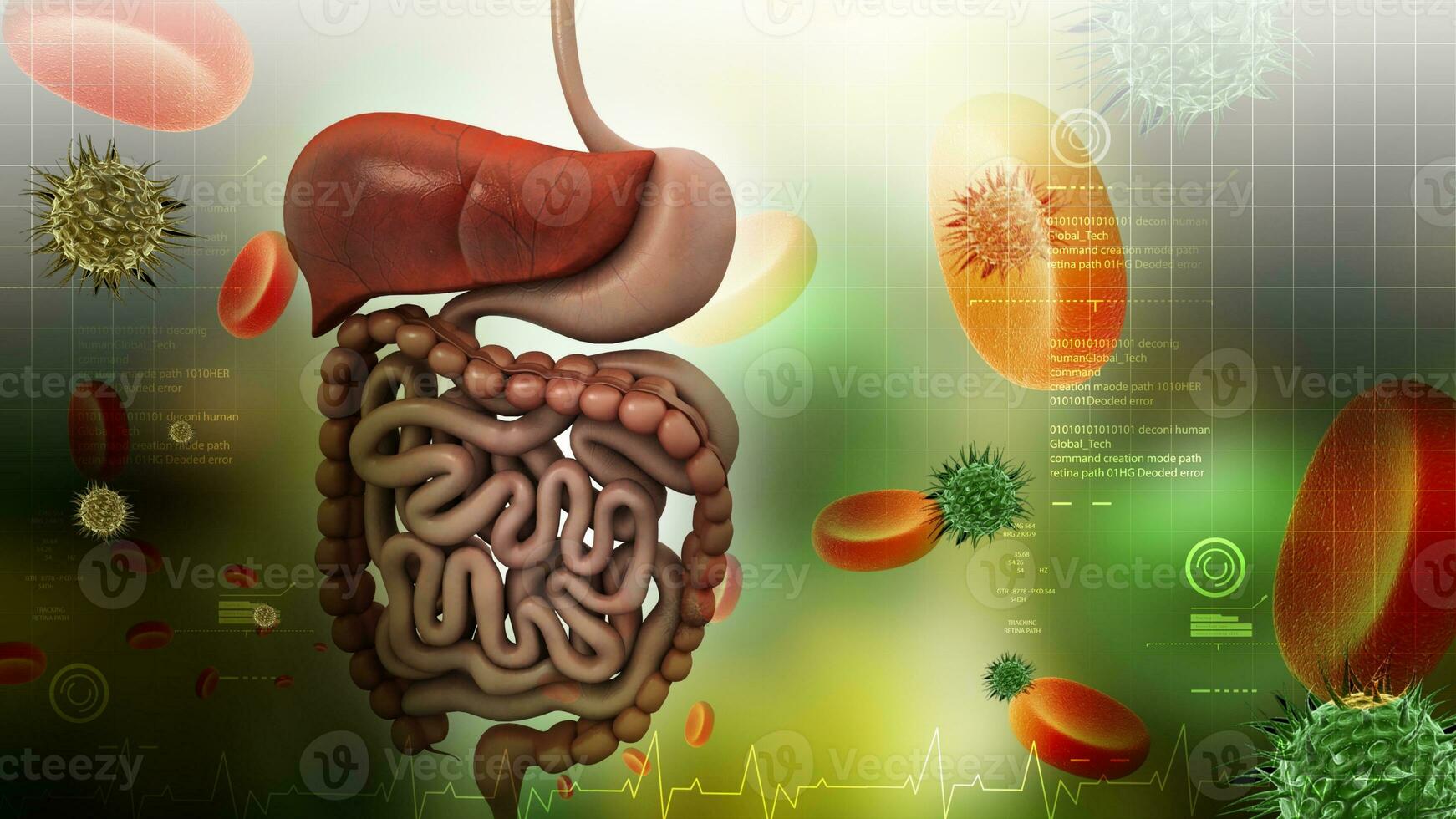 3d abdominal imagen con vitaminas y armonías, humano cuerpo parte, proceso de abdominal foto