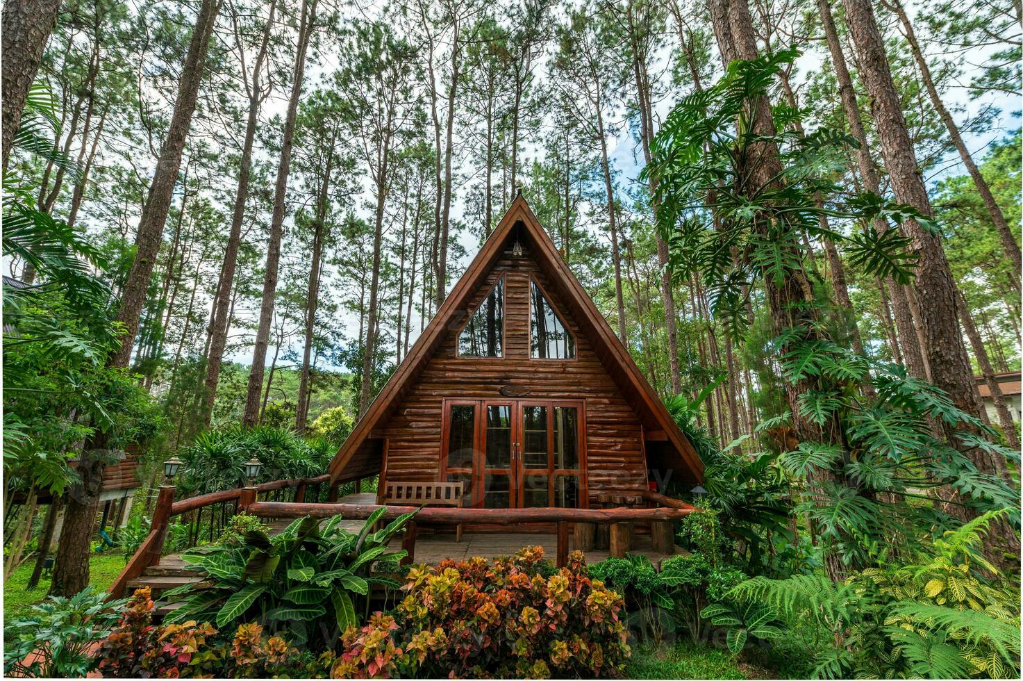 triangular casa construido desde madera en el bosque en el lluvioso temporada foto