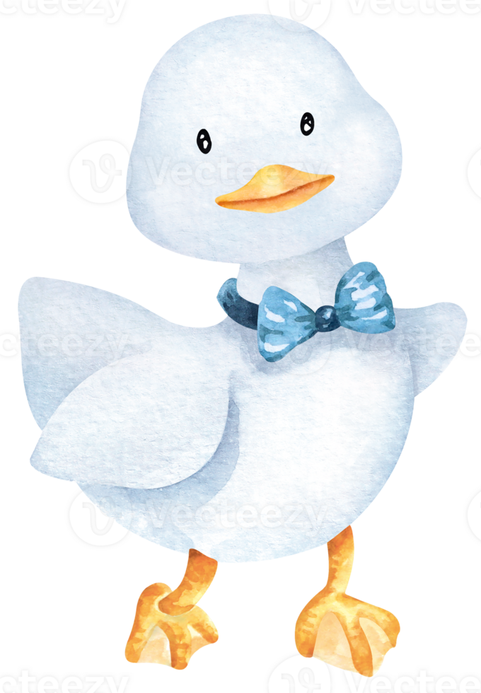 Cartoon duck with bow tie.Hand drawn with watercolor.Cute animal. png