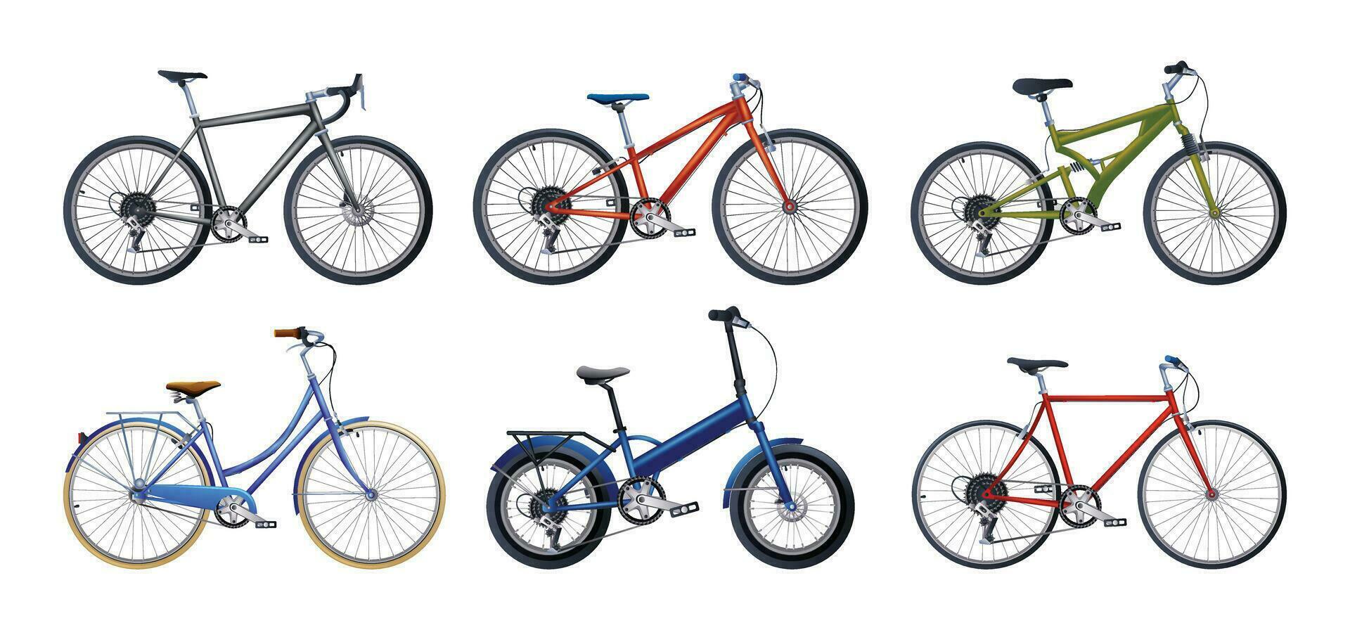 Bicycle set vector illustration. Bike collection in various types