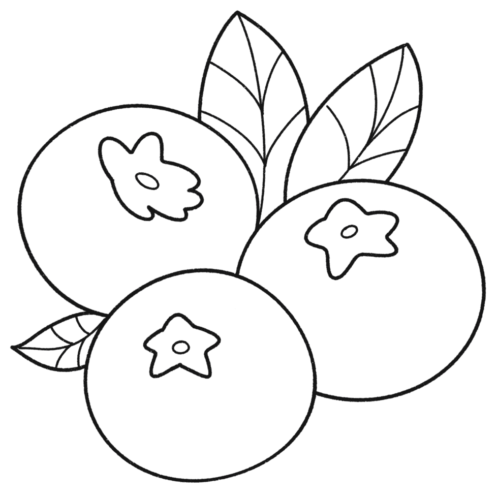 Cartoon clip art fruit blueberry line PNG