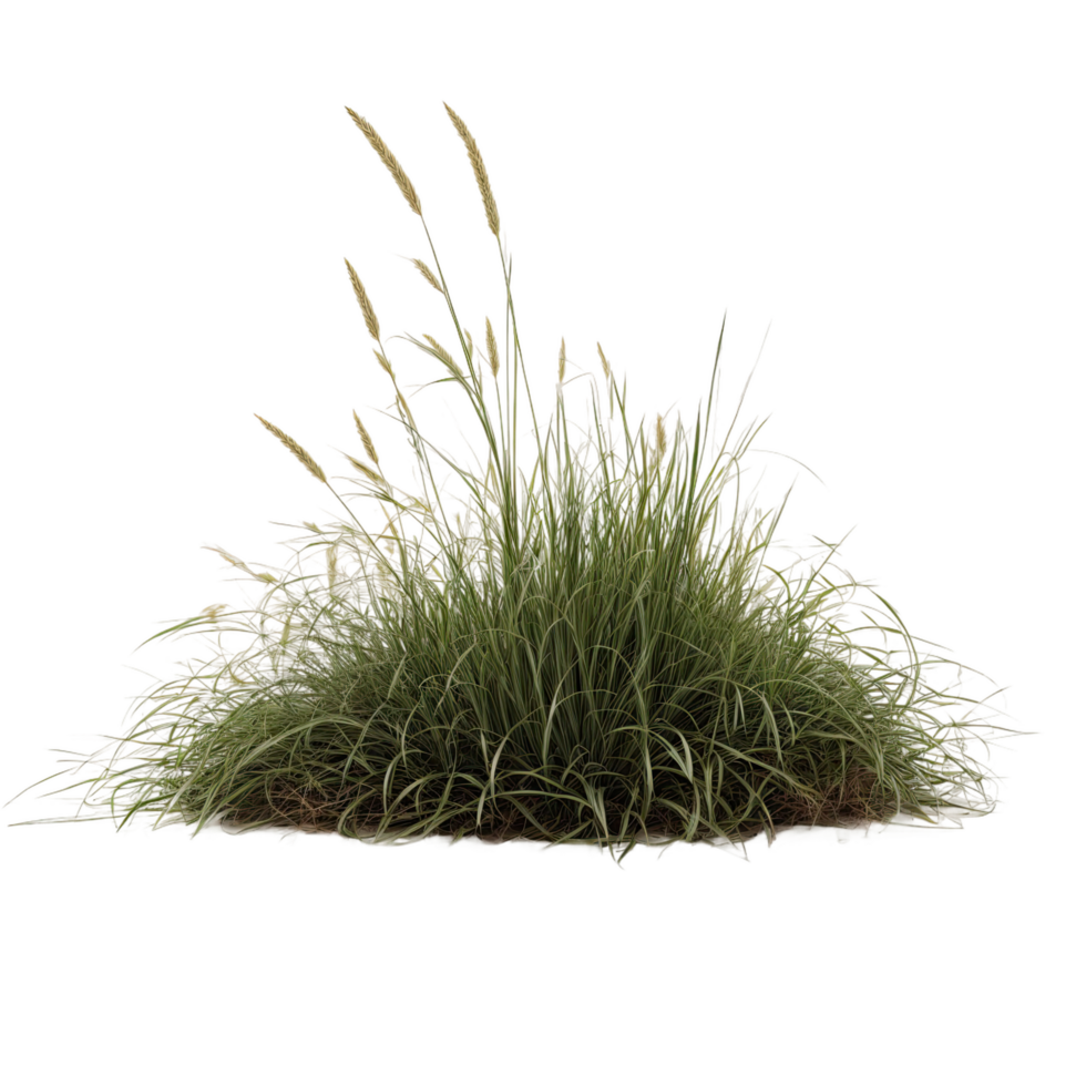 AI generated bunch of green grass isolated on transparent background png