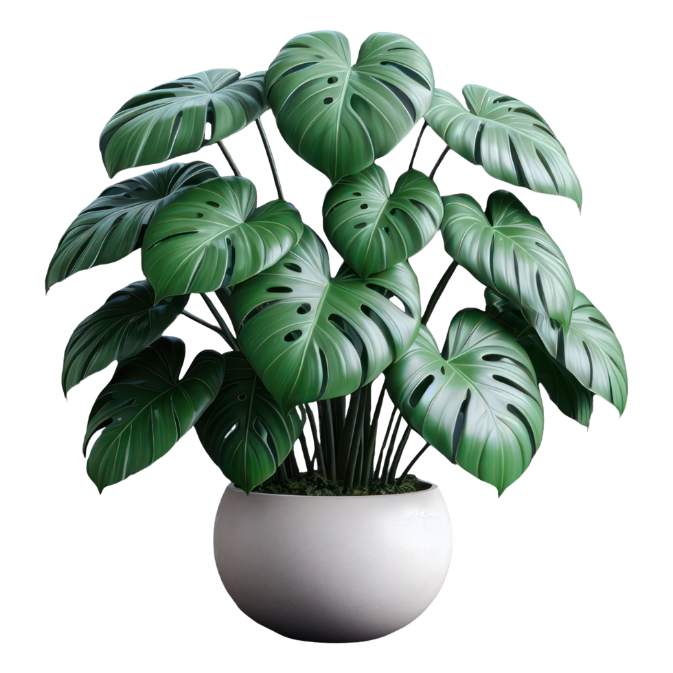 AI generated Monstera in potted isolated on transparent background. AI Generated png