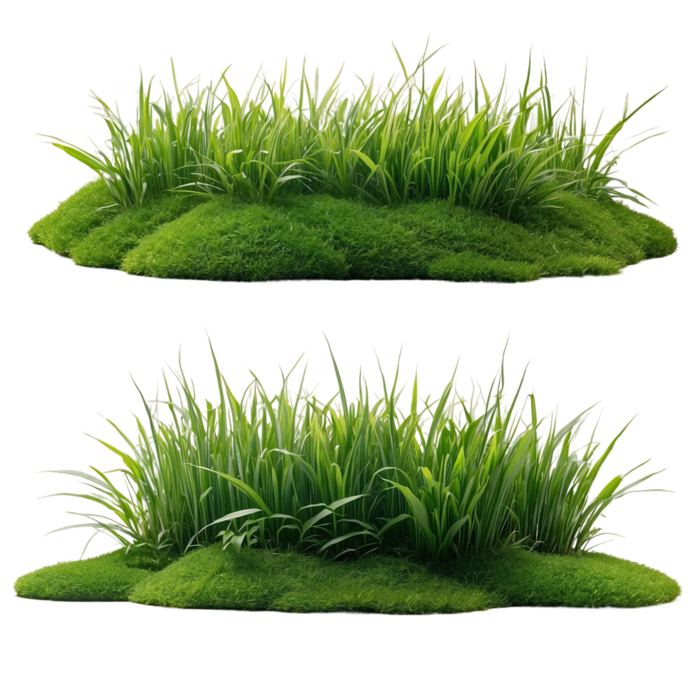 AI generated bunch of green grass isolated on transparent background png