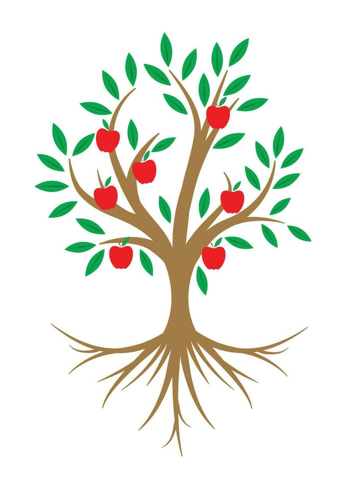 Root of the tree with red apples vector flat design