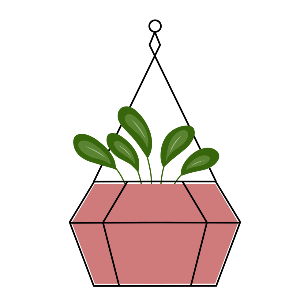 Modern hanging plant illustration png