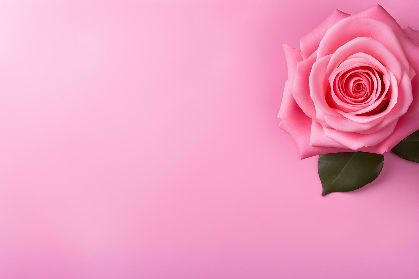 AI generated beautiful pink rose background photo