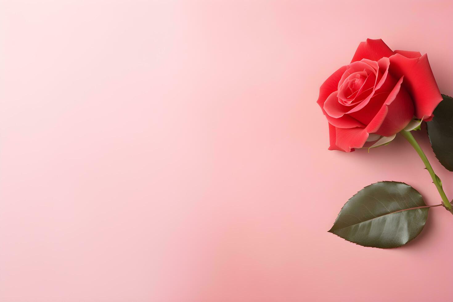 AI generated beautiful red rose background photo