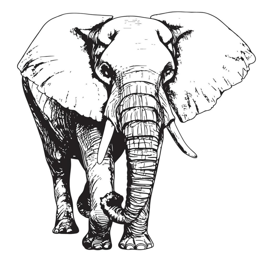 Big elephant walking hand drawn sketch Vector illustration