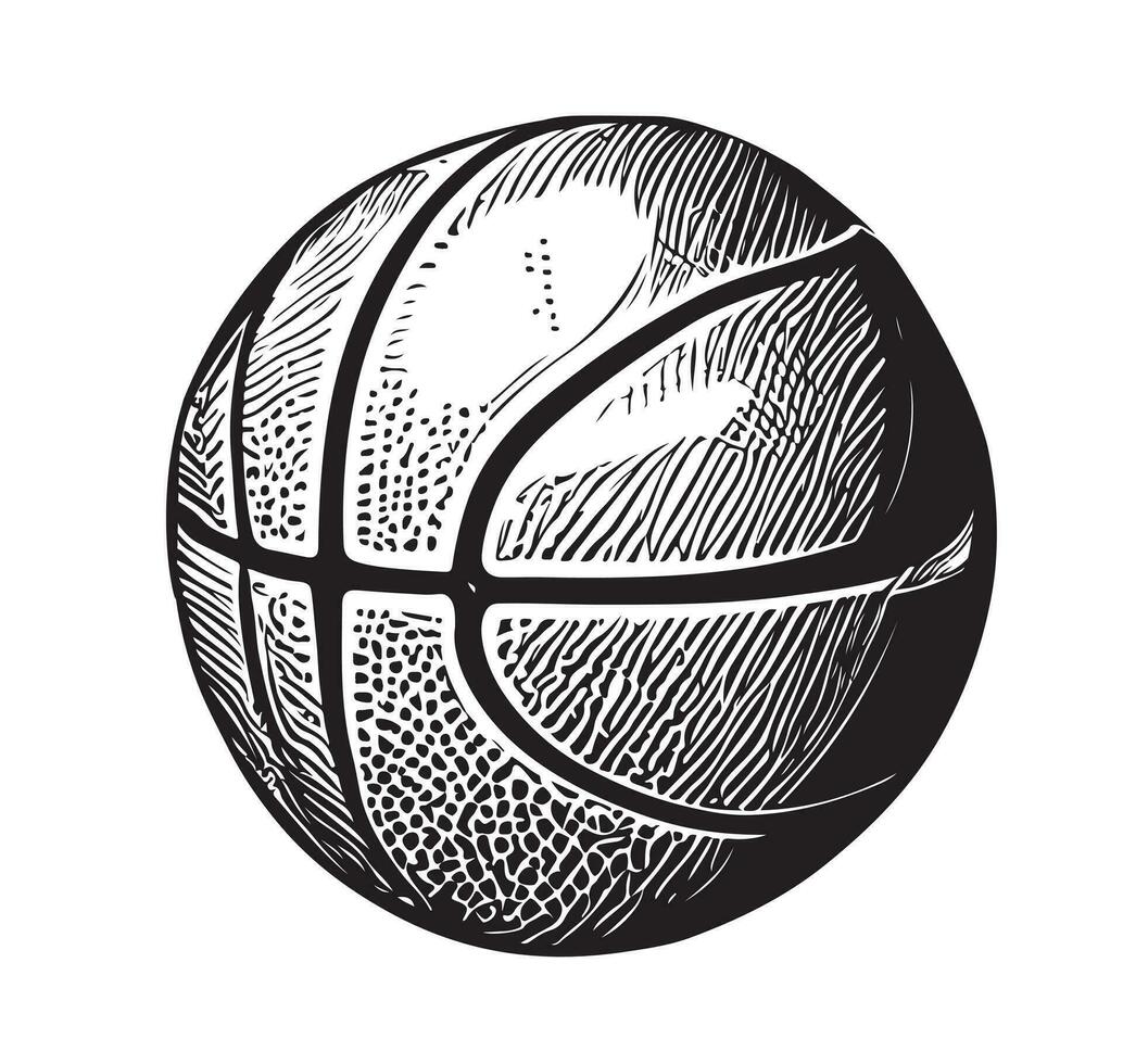 baloncesto pelota mano dibujado bosquejo Deportes equipo.vector ilustración vector