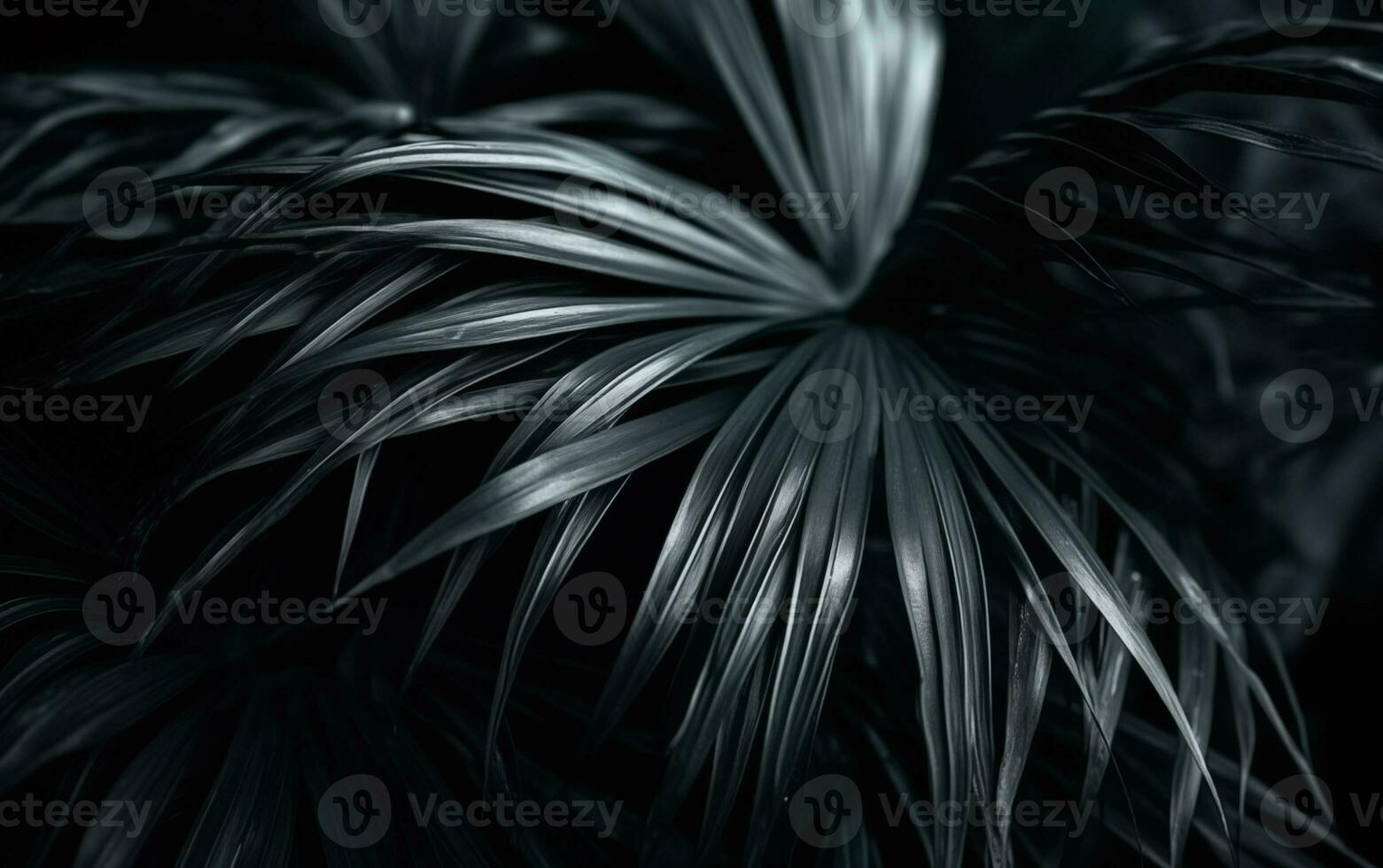 AI generated Macro dark palm plants leave photo