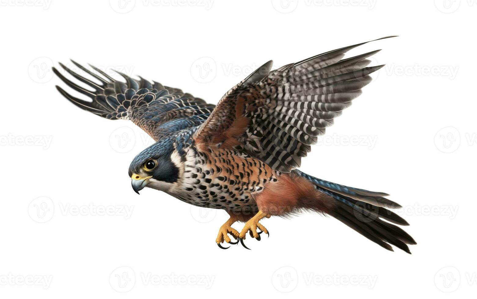 AI generated Full-Size Falcon Elegance Against a White Canvas photo